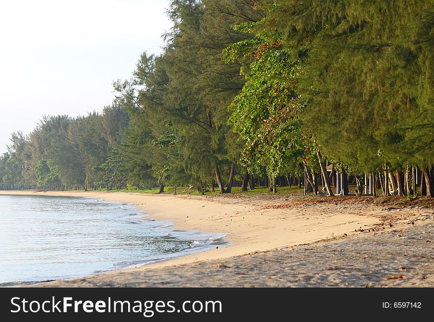 Beach in the early morning