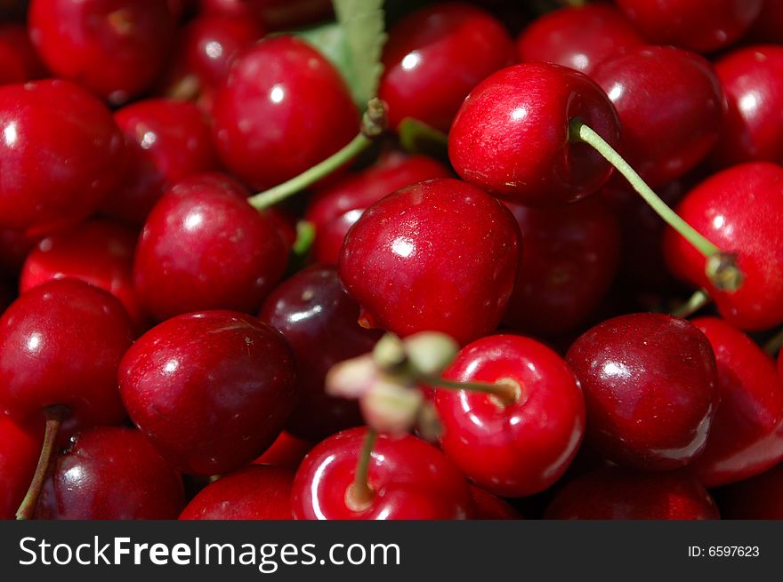 Fresh red cherry good year for the crops