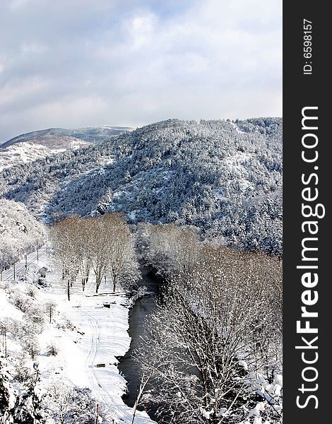 Winter in the mountain, trees in front, river and rail road behind them, hill and blue sky as background. Winter in the mountain, trees in front, river and rail road behind them, hill and blue sky as background