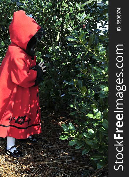 Little girl dressed in a red hooded coat hiding. Little girl dressed in a red hooded coat hiding.