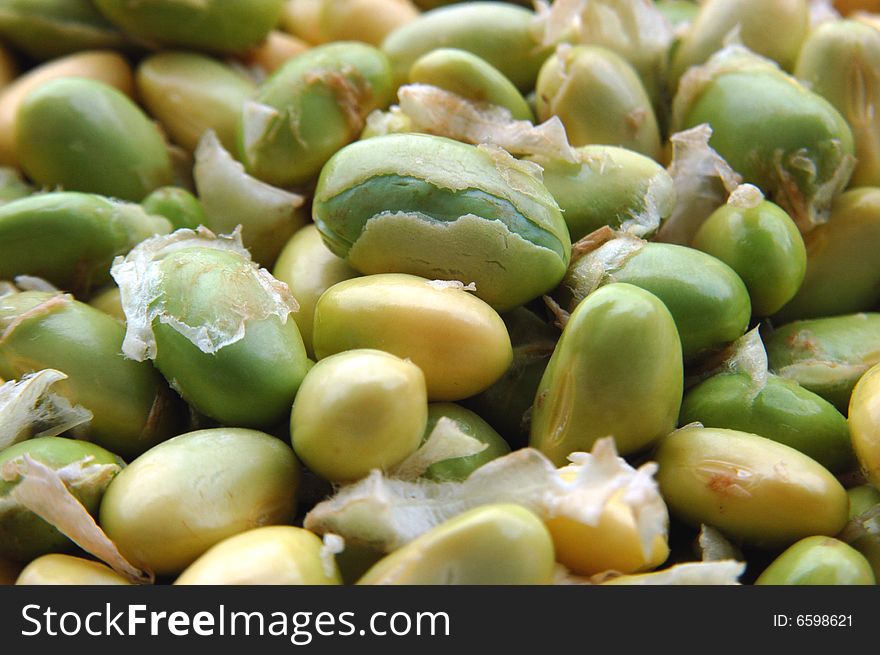 Fresh green bean close-up. Fresh green bean close-up