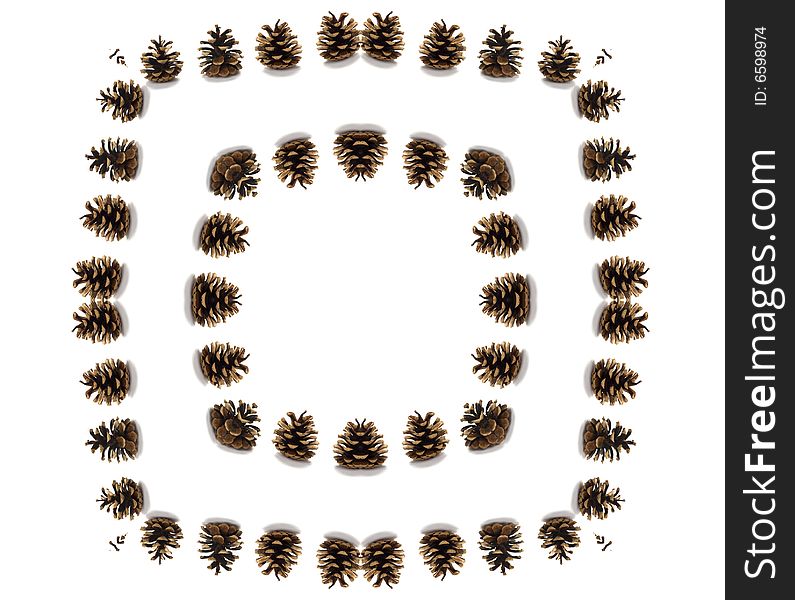 Pine cones circle