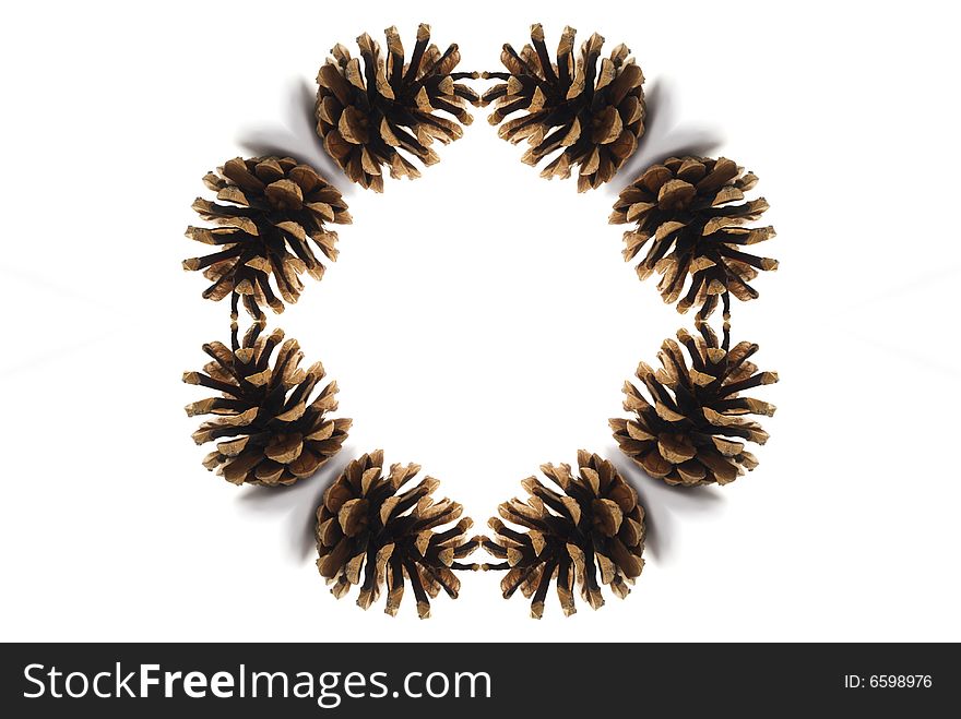 Pine cones circle isolated on white background. Pine cones circle isolated on white background