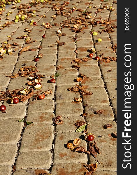 Chestnuts on a pavement - autumnal footpath