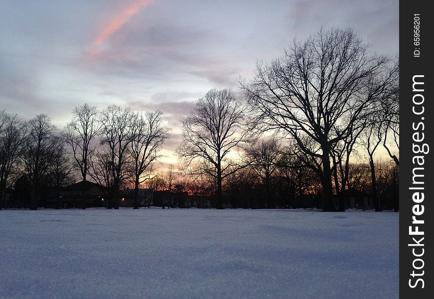 Sunset in a Park in Snow in Winter.