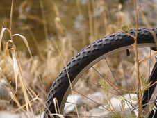 Mountain Bike Wheel Stock Image Mountain Bike Wheel Stock Image