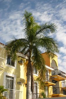 Palm Tree Condo Royalty Free Stock Images Palm Tree Condo Royalty Free Stock Images