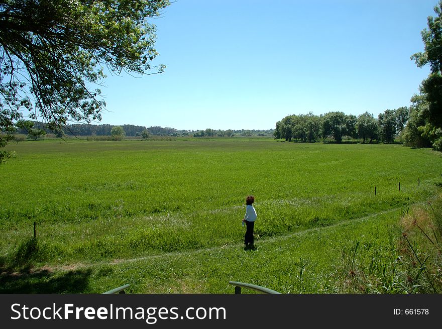 A pregnant woman on green field in a spring day. A pregnant woman on green field in a spring day