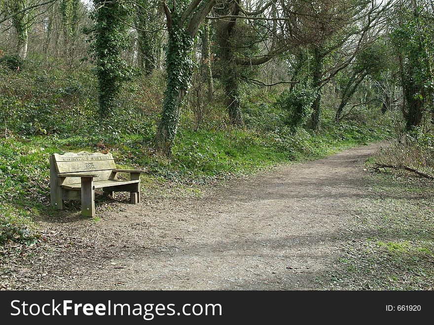 A wooden bench situated on a forest path in a tranquil part of the forest. A wooden bench situated on a forest path in a tranquil part of the forest.