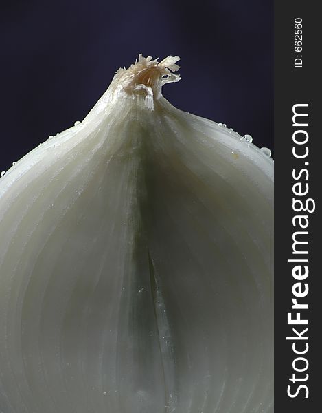 A cross section of an onion against a dark blue background. A cross section of an onion against a dark blue background.