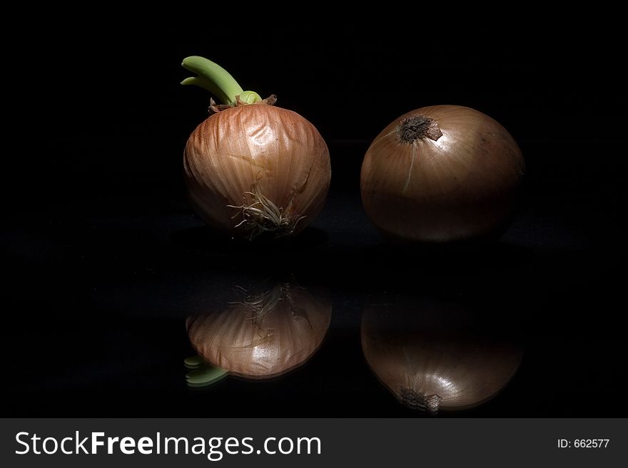 Two onion from dark. Two onion from dark