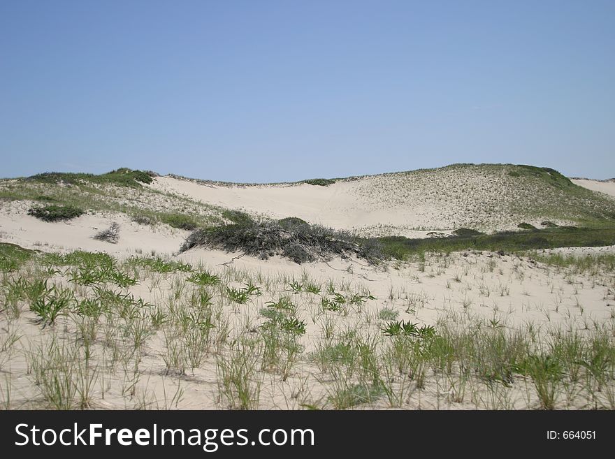 Dunes view