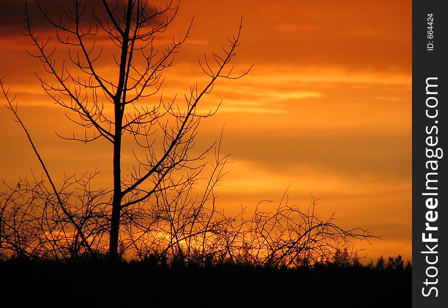 Evening sky in winter