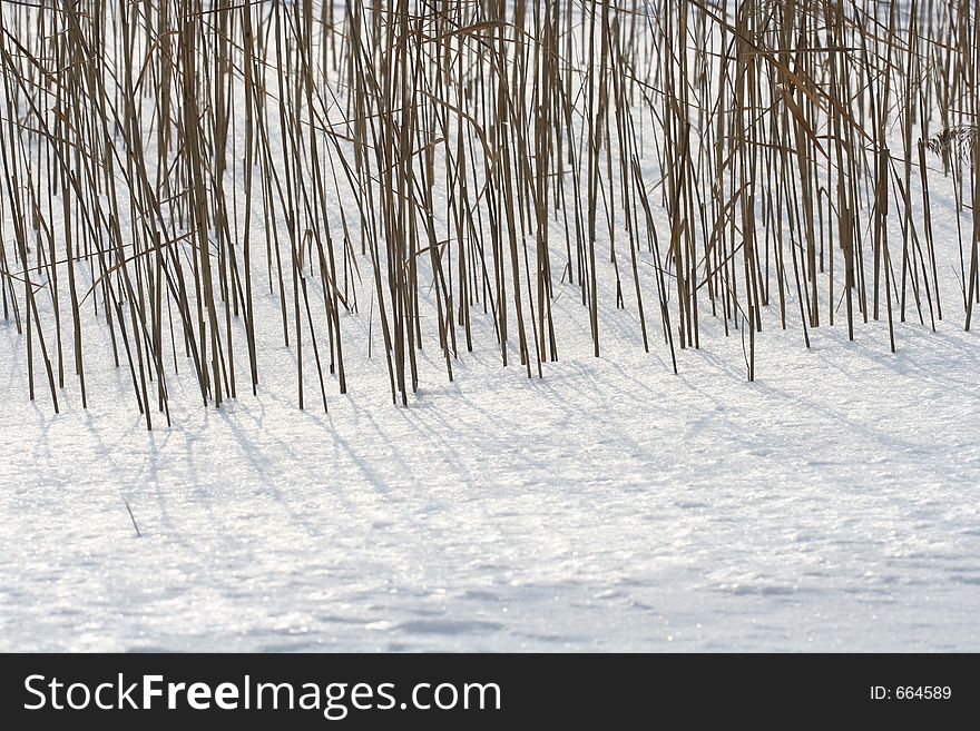 Natural background - winter details