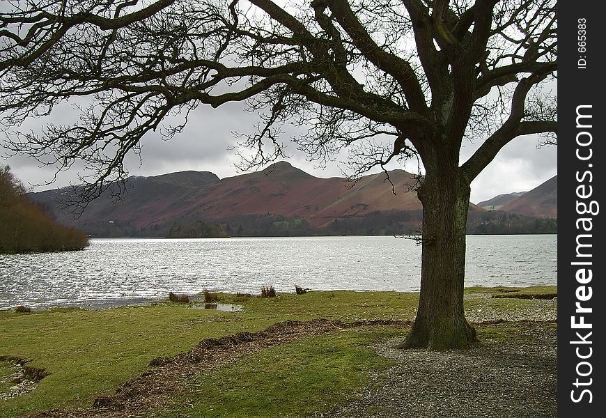 A tree framing Derwent Water, England and distant Fells. A tree framing Derwent Water, England and distant Fells