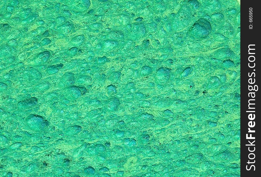 Green Sponge Texture