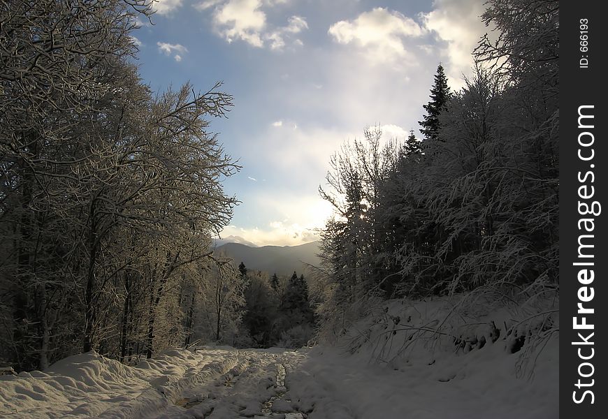 Road in the forest in winter in sunburst, Russia. Road in the forest in winter in sunburst, Russia