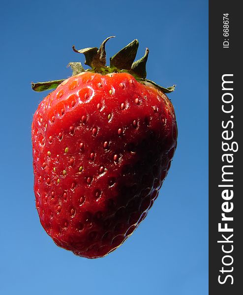 Natural grown strawberry on blue sky as background