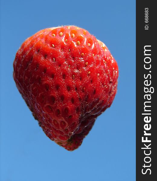 Natural grown strawberry on blue sky as background