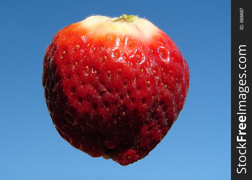 Natural grown strawberry on blue sky as background