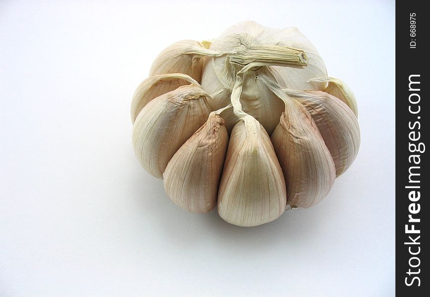 Garlic