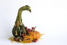 Pumpkins And Berries Royalty Free Stock Images Pumpkins And Berries Royalty Free Stock Images