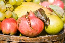 Fruits Harvest Royalty Free Stock Photo Fruits Harvest Royalty Free Stock Photo