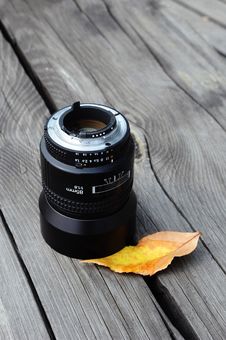 Camera Lense And Autumn Leaf Royalty Free Stock Photography
