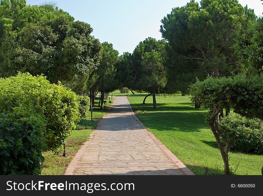 Stone road in park among green trees