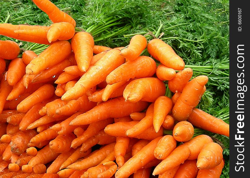 Orange delicious juicy carrot background. Orange delicious juicy carrot background