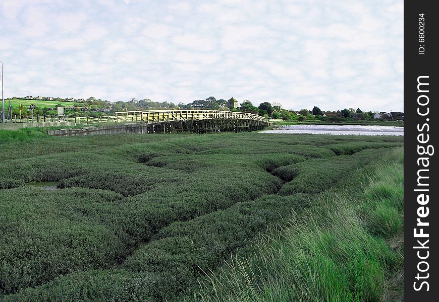 Coastal estuary background beautiful landscape for you