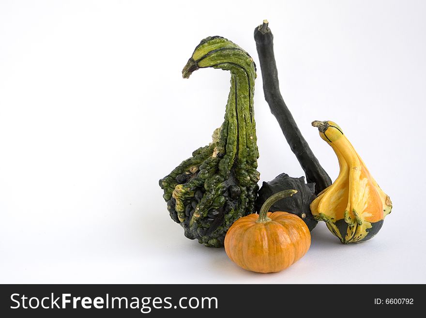 Different shaped gourds on white background