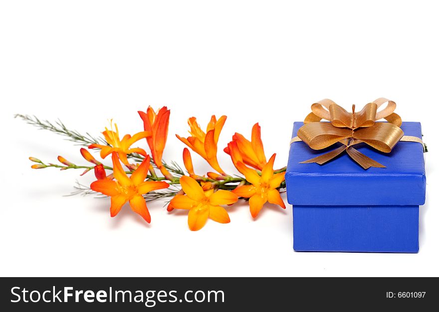 Blue gift over white background