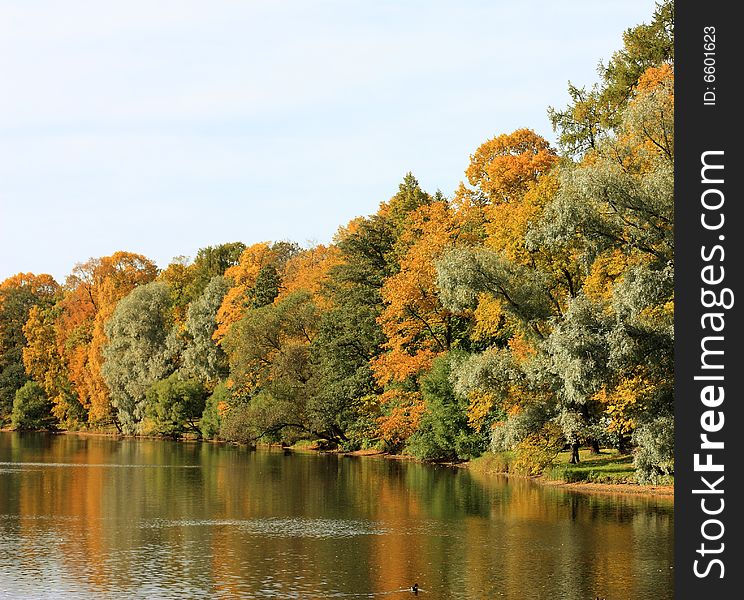 Fall reflection on the pond