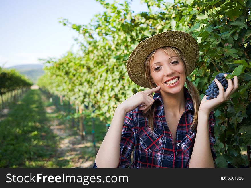 Young peasant woman grape sign good with hand during the harvest among the vineyards. Young peasant woman grape sign good with hand during the harvest among the vineyards