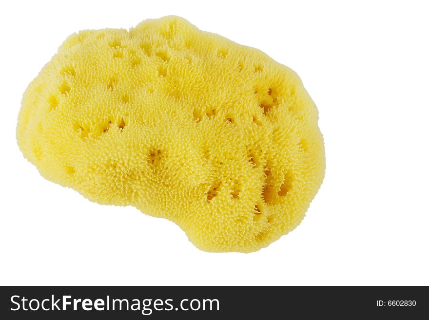 Yellow natural sponge isolated on white