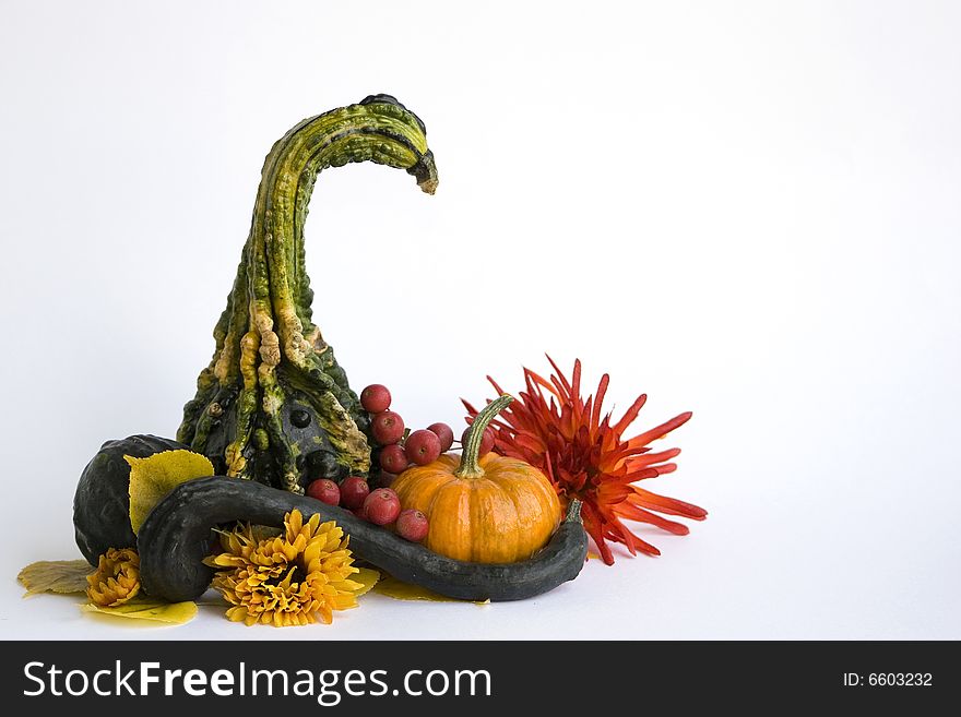 Pumkins with flowers and berries on white background