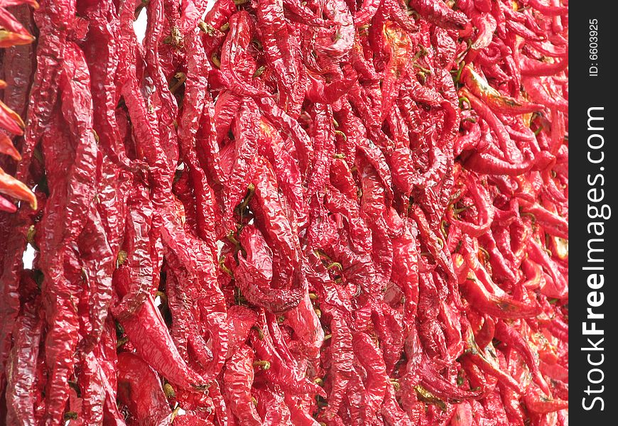 Red paprika background , autumn harvest