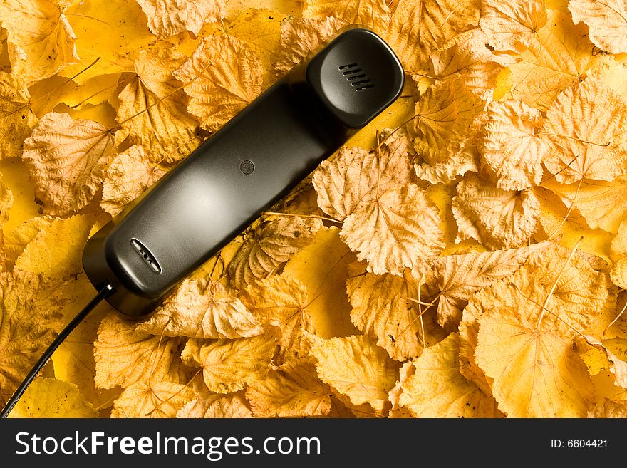 Black handset on a background of a yellow leafs