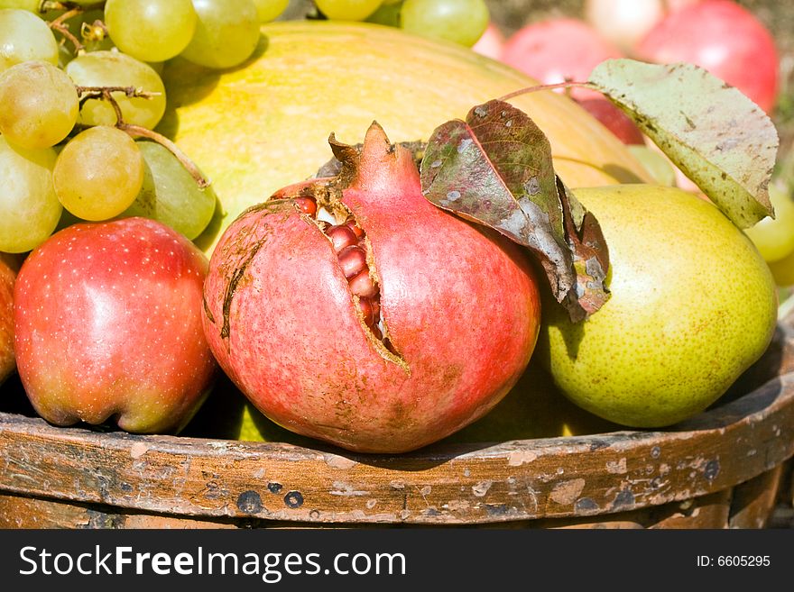 Basket full of autumn fruits. Pumpkin, grapes, pomegranate, apple, pear. Harvest concept. Basket full of autumn fruits. Pumpkin, grapes, pomegranate, apple, pear. Harvest concept.