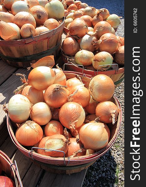 Bushels of fresh picked onions at a roadside market