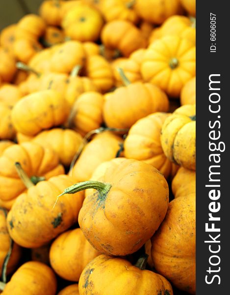 Fall pumpkins in a pile in a container