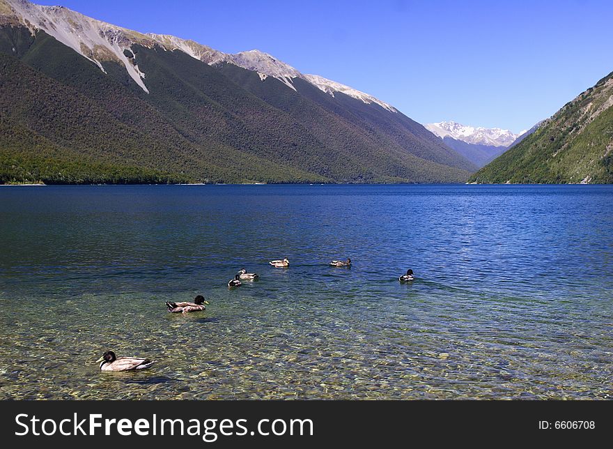 Pure Lake Rotoiti