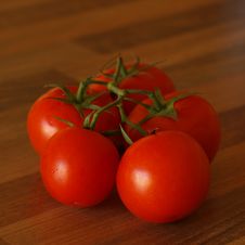 Vine Ripened Tomatoes Royalty Free Stock Image Vine Ripened Tomatoes Royalty Free Stock Image