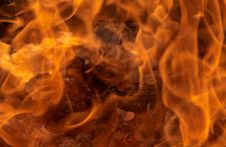 Languages Of A Flame Royalty Free Stock Photography Languages Of A Flame Royalty Free Stock Photography