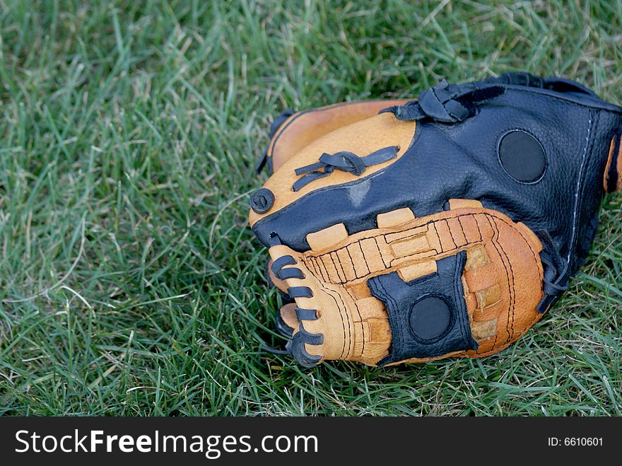 Baseball Glove In Grass