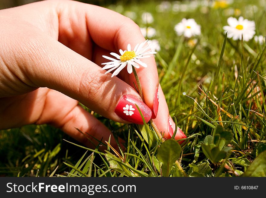 Woman hand with beautiful colored fingernails. Cosmetic and manicure. Woman hand with beautiful colored fingernails. Cosmetic and manicure