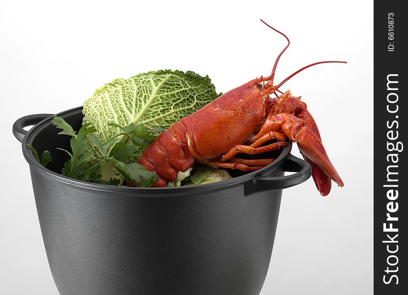 Image of a lobster with a cabbage leaf inside a pot. Image of a lobster with a cabbage leaf inside a pot