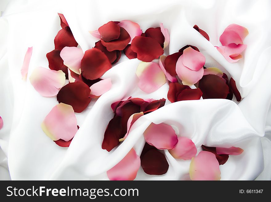 Rose-petals scattered on white silk