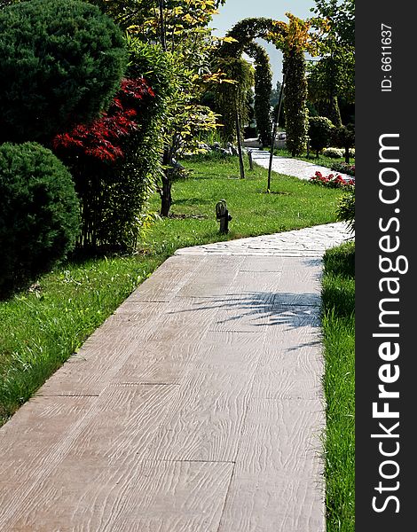 Alley in park with trees and grass. Alley in park with trees and grass